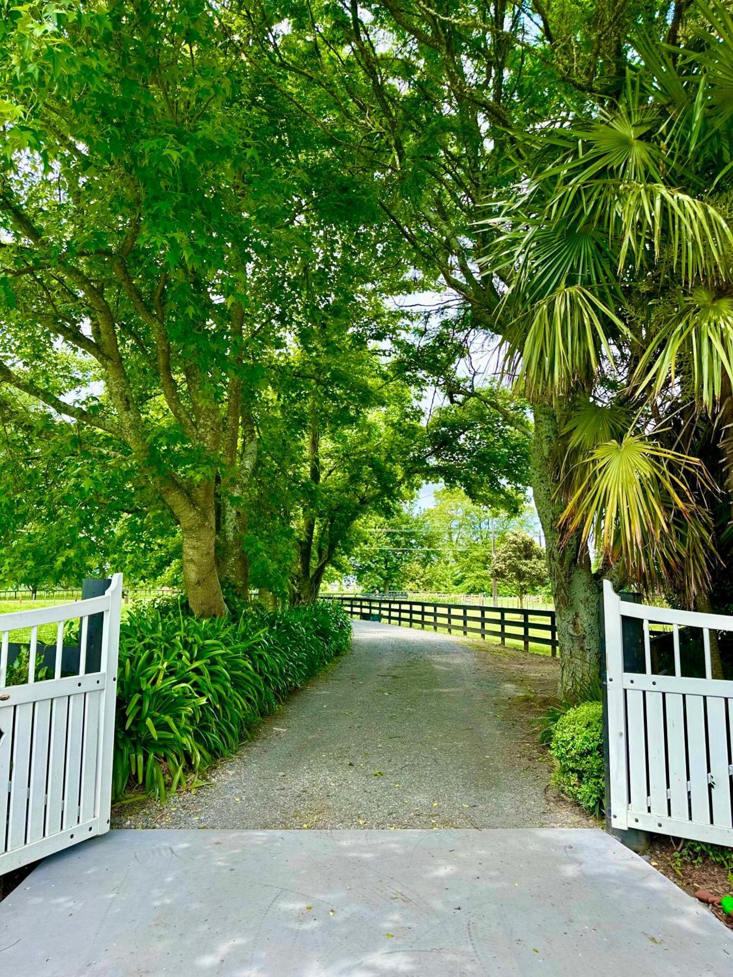 Matamata Country B&B Esterno foto